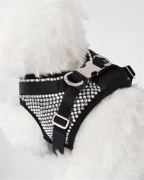 prada pet carrier|Prada dog harness.